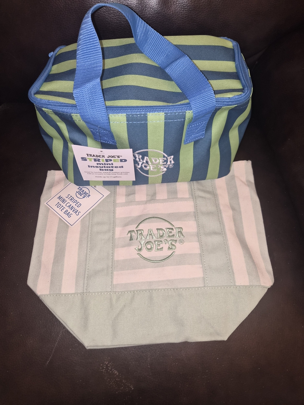 Trader Joe's Striped Insulated Lunch Bag & Mini Canvas Tote - Blue & Green